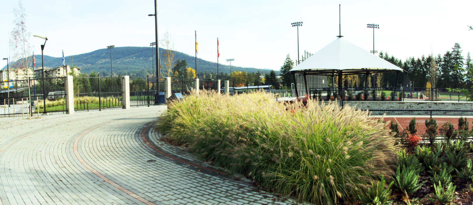 Coquitlam Town Centre Park - Connect Landscape Architecture